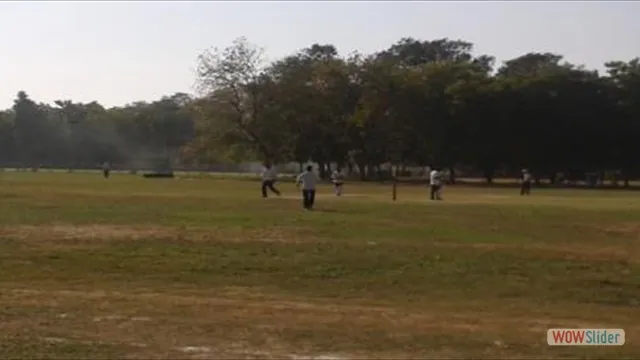 Outdoor Arena